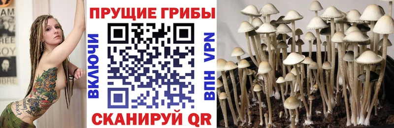 Купить закладки  Верхняя Тура  Псилоцибиновые грибы мухоморы 